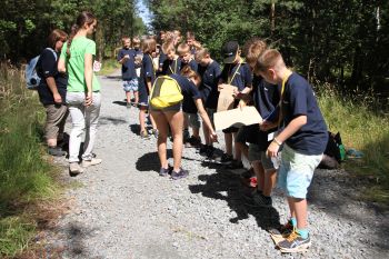 Vergrößerung anzeigen ... - Bild 23
