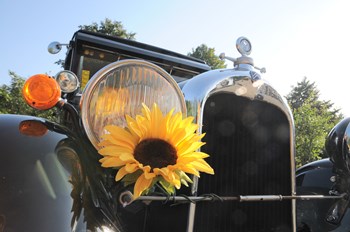 ADAC Sunflower Rallye