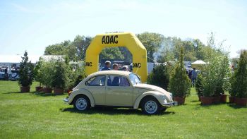 Vergrößerung anzeigen ... - Bild 8