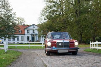 Vergrößerung anzeigen ... - Bild 5