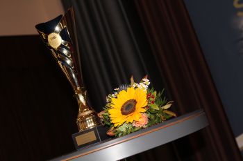Vergrößerung anzeigen ... - Bild 12